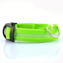 Load image into Gallery viewer, Nylon LED Pet Collar (Night Safety) - PetBrand 
