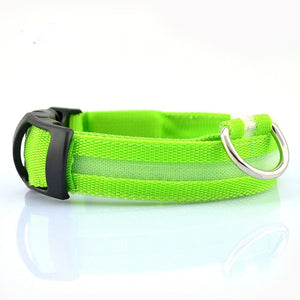 Nylon LED Pet Collar (Night Safety) - PetBrand 