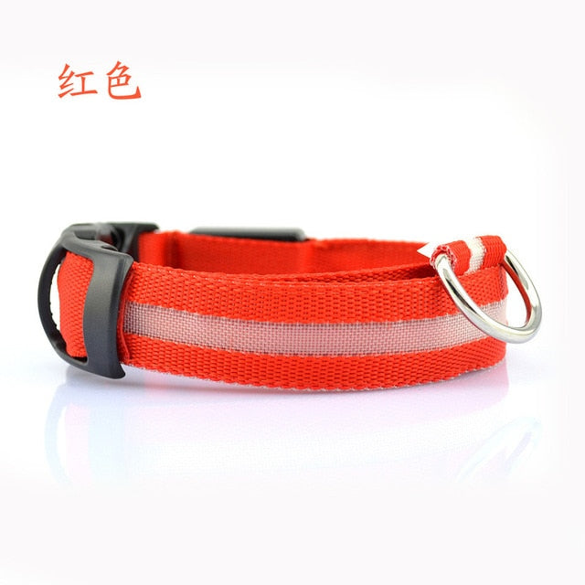 Nylon LED Pet Collar (Night Safety) - PetBrand 