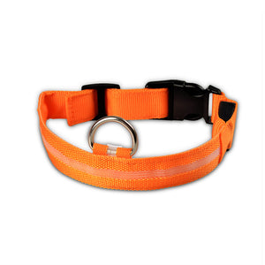 Nylon LED Pet Collar (Night Safety) - PetBrand 