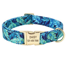 Load image into Gallery viewer, Personalized Printed Dog Collar - PetBrand 
