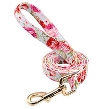 Load image into Gallery viewer, Personalized Printed Dog Collar - PetBrand 
