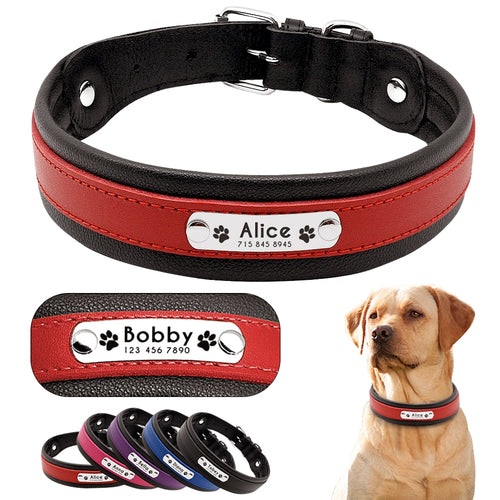 Personalized Leather Dog Collar - PetBrand 