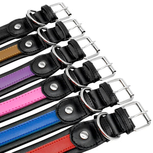 Personalized Leather Dog Collar - PetBrand 