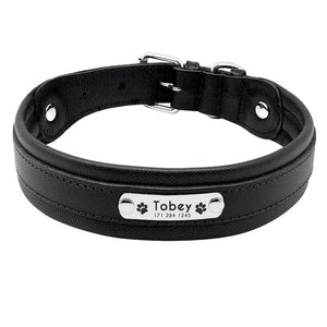 Personalized Leather Dog Collar - PetBrand 