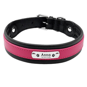 Personalized Leather Dog Collar - PetBrand 